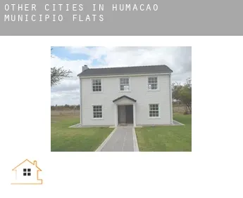 Other cities in Humacao Municipio  flats