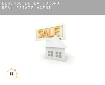 Llocnou de la Corona  real estate agent