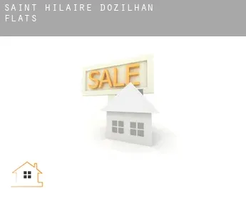 Saint-Hilaire-d'Ozilhan  flats