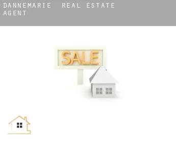 Dannemarie  real estate agent