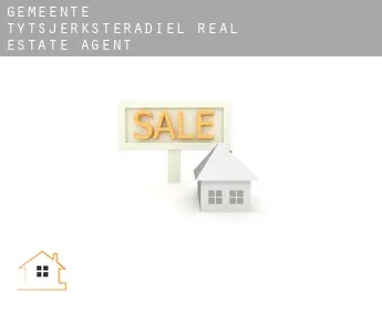 Gemeente Tytsjerksteradiel  real estate agent