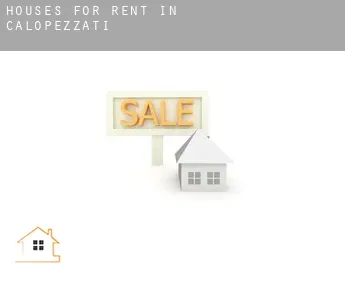 Houses for rent in  Calopezzati