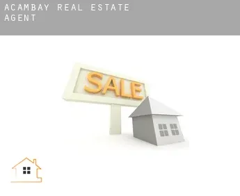 Acambay  real estate agent