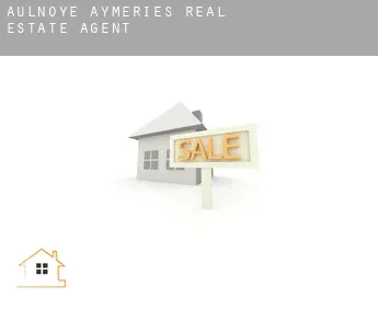 Aulnoye-Aymeries  real estate agent