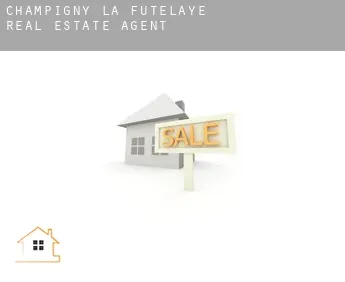 Champigny-la-Futelaye  real estate agent