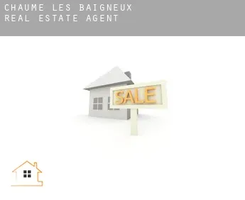 Chaume-lès-Baigneux  real estate agent