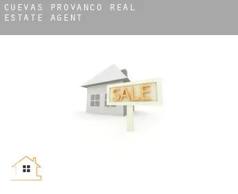 Cuevas de Provanco  real estate agent