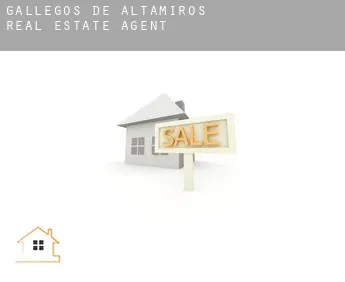 Gallegos de Altamiros  real estate agent