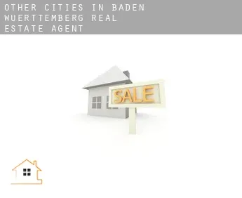 Other cities in Baden-Wuerttemberg  real estate agent