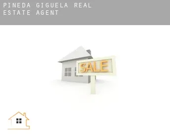 Pineda de Gigüela  real estate agent