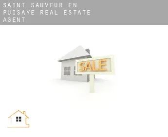 Saint-Sauveur-en-Puisaye  real estate agent