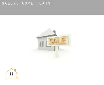 Sally's Cove  flats