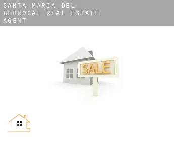 Santa María del Berrocal  real estate agent