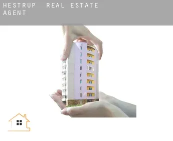 Hestrup  real estate agent