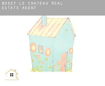 Bussy-le-Château  real estate agent