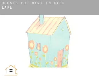 Houses for rent in  Deer Lake