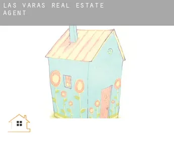 Las Varas  real estate agent