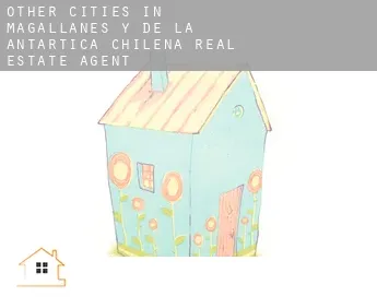 Other cities in Magallanes y de la Antartica Chilena  real estate agent
