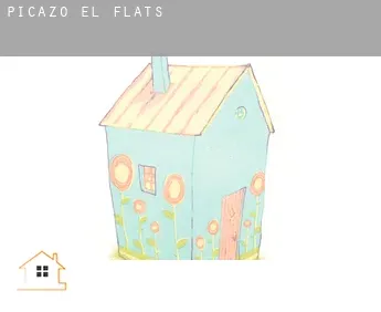 Picazo (El)  flats