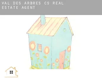 Val-des-Arbres (census area)  real estate agent