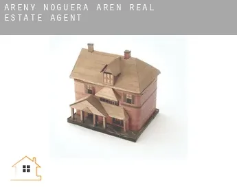 Areny de Noguera / Arén  real estate agent