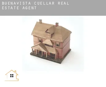 Buenavista de Cuéllar  real estate agent