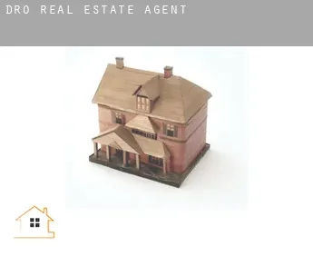 Dro  real estate agent