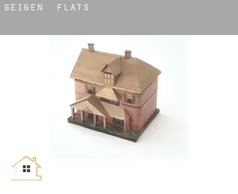 Geigen  flats