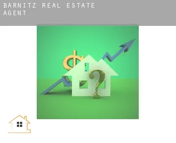 Barnitz  real estate agent