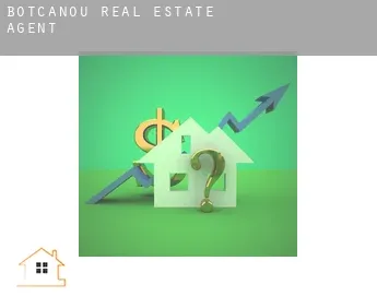 Botcanou  real estate agent