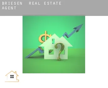 Briesen  real estate agent