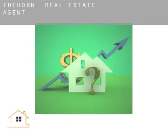 Idehörn  real estate agent