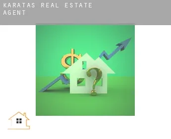 Karataş  real estate agent