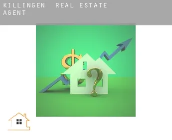 Killingen  real estate agent