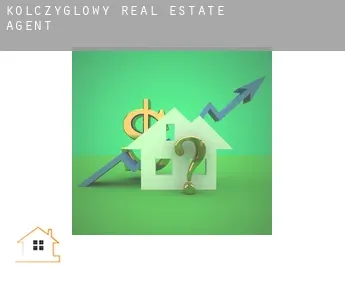 Kołczygłowy  real estate agent