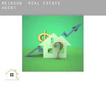 Meinsen  real estate agent