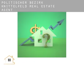 Politischer Bezirk Knittelfeld  real estate agent