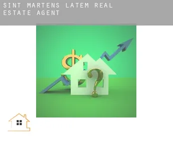 Sint-Martens-Latem  real estate agent