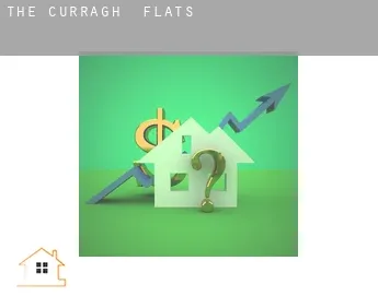 The Curragh  flats