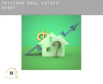 Tricerro  real estate agent