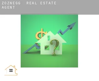 Zoznegg  real estate agent