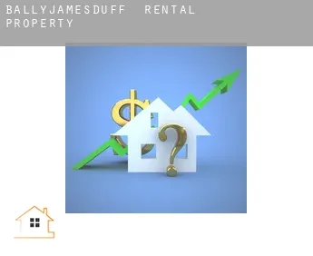 Ballyjamesduff  rental property