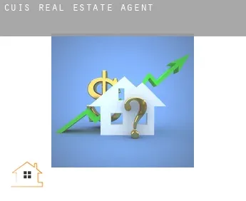 Cuis  real estate agent