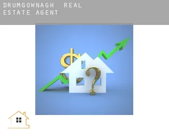 Drumgownagh  real estate agent