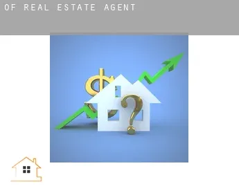 Of  real estate agent