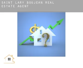 Saint-Lary-Boujean  real estate agent