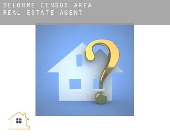 Delorme (census area)  real estate agent