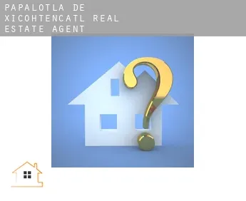 Papalotla de Xicohtencatl  real estate agent