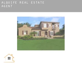 Alquife  real estate agent