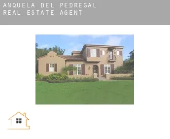 Anquela del Pedregal  real estate agent